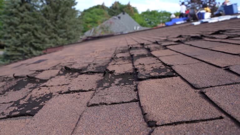 Best Roof Maintenance and Cleaning  in Crossett, AR